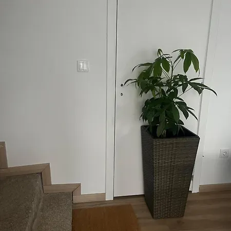 Friend's House Мая