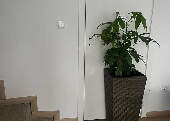 Friend's House Maía